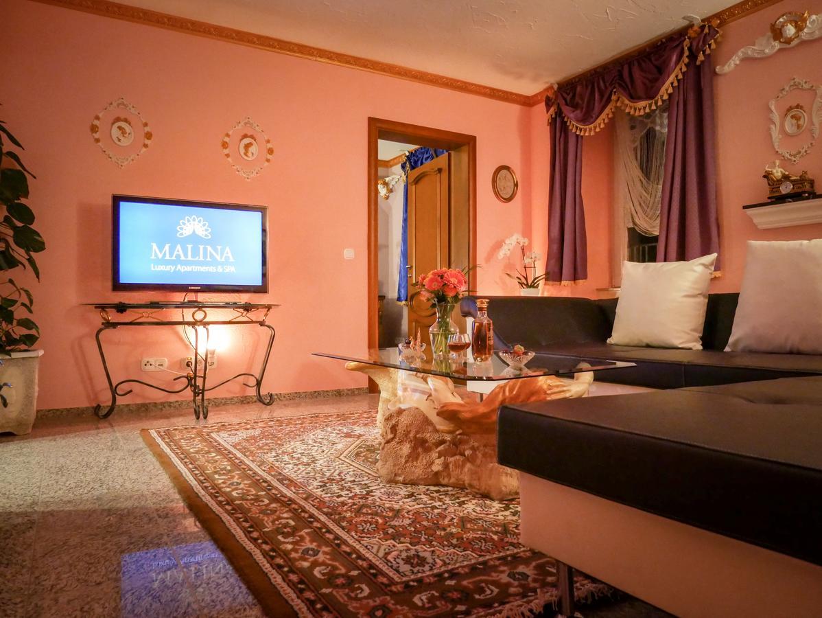 Malina Luxury Apartments And Spa Todtnau Kültér fotó