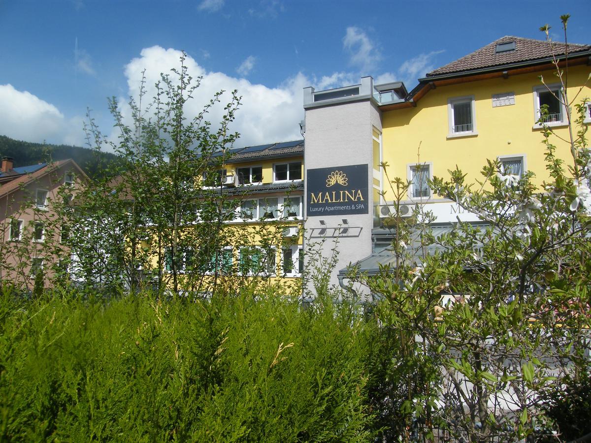 Malina Luxury Apartments And Spa Todtnau Kültér fotó